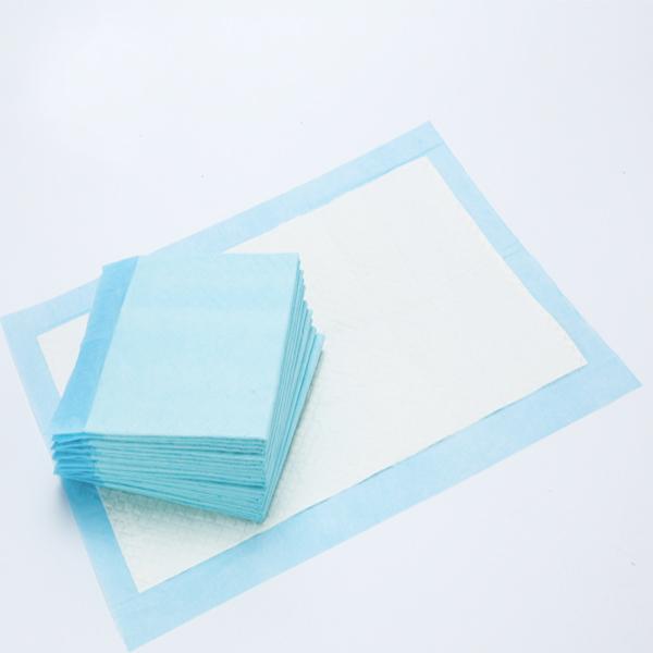 tapis absorbant de pipi de chien de tapis d'humidité d'absorption de chien de formation de protection d'urine en gros de chien