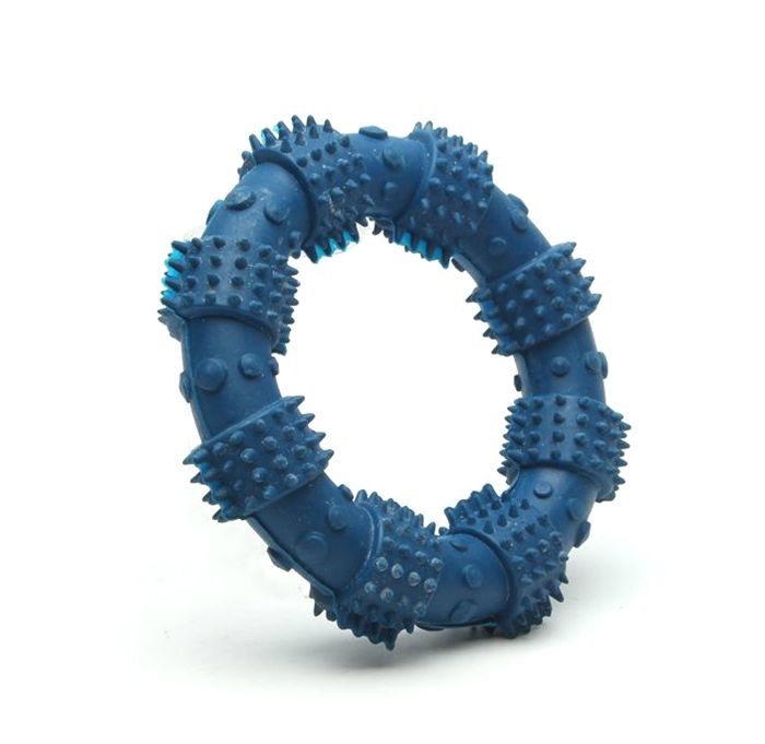 Professional Round Rubber Chew Toys Dog Toothbrush Toy 12.5 Cm Size