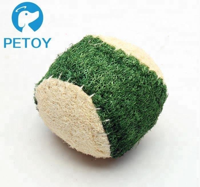 Eco Friendly Small  Indestructible Rope Dog Toys Nature Loofah Material